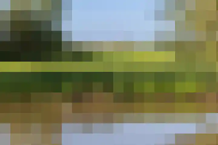 Polderweg 6 a Pijnacker thumbnail 49