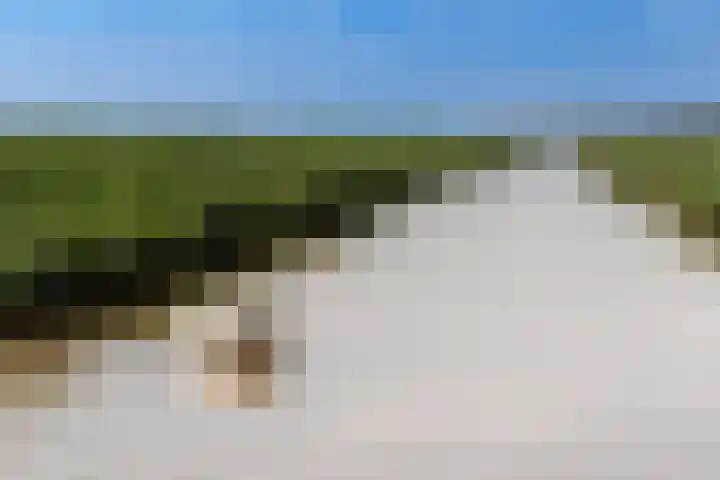 Polderweg 6 a Pijnacker thumbnail 50