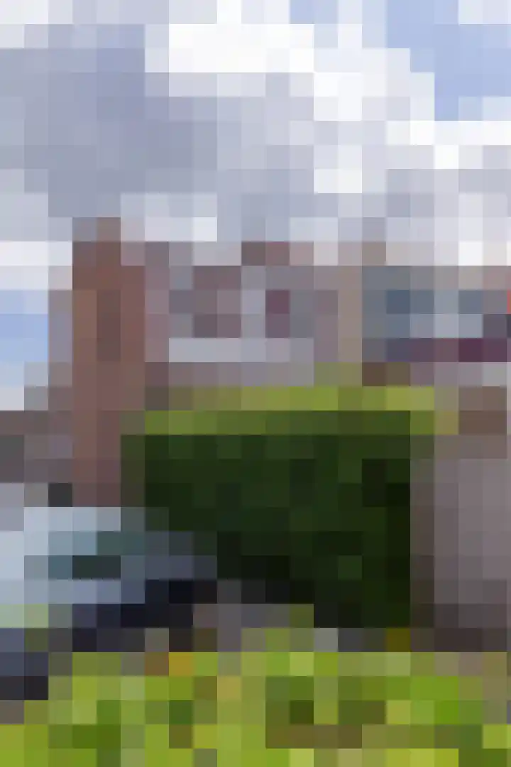 Polderweg 64 Den Helder thumbnail 15