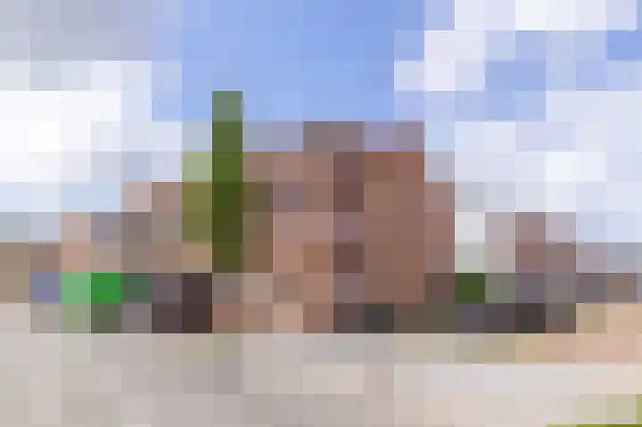 Polderweg 64 Den Helder thumbnail 21