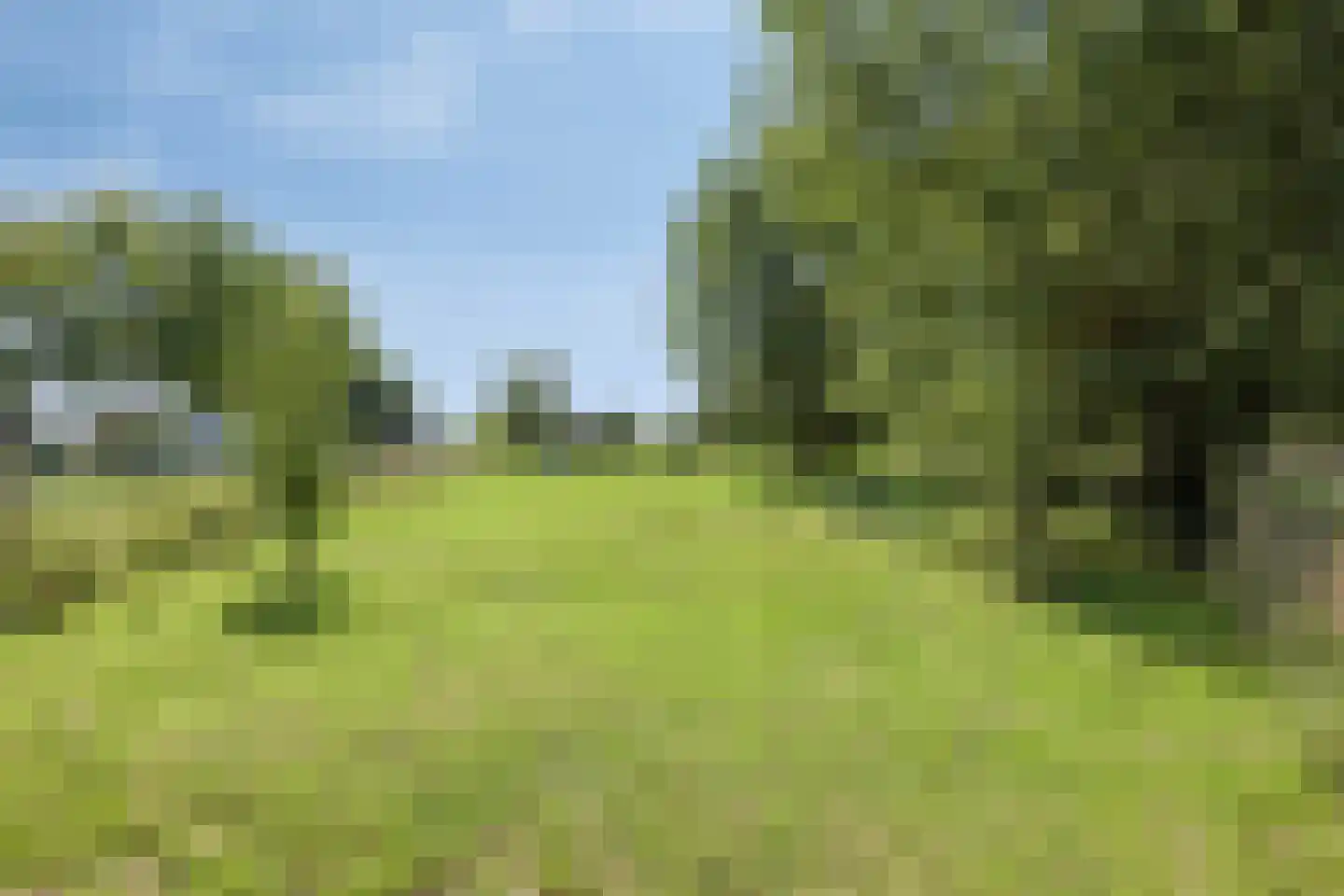 Polderweg 9 Hengstdijk thumbnail 32