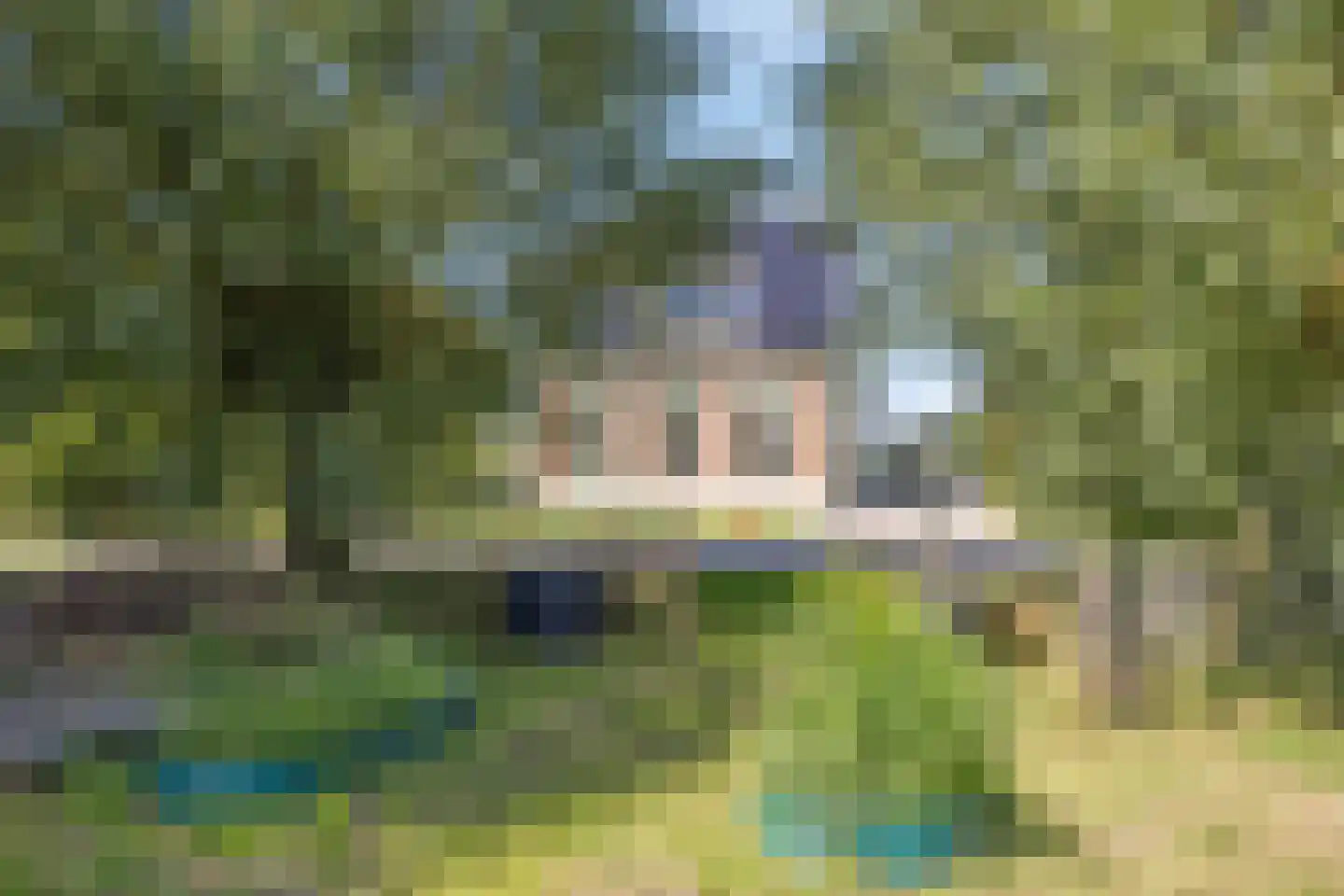 Polderweg 9 Hengstdijk thumbnail 33