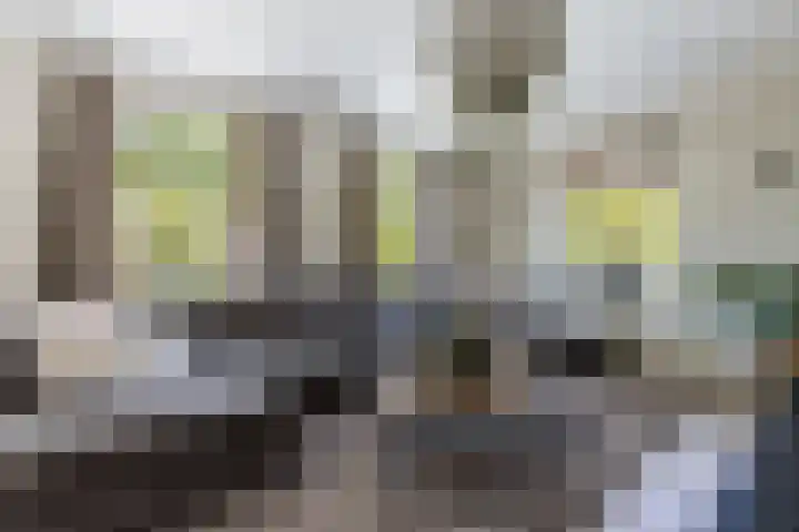 Polderzicht 17 Wijk en Aalburg thumbnail 11