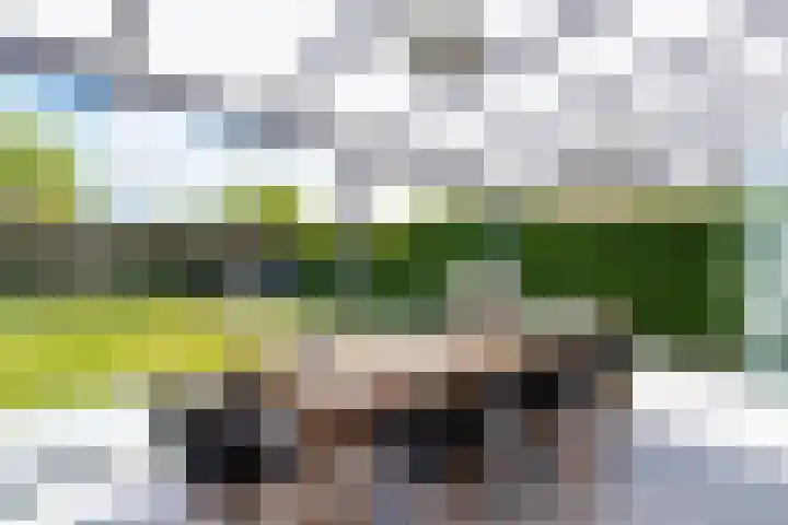 Polderzicht 17 Wijk en Aalburg thumbnail 45