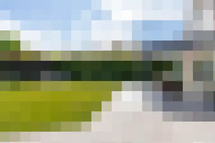 Polderzicht 17 Wijk en Aalburg thumbnail 53