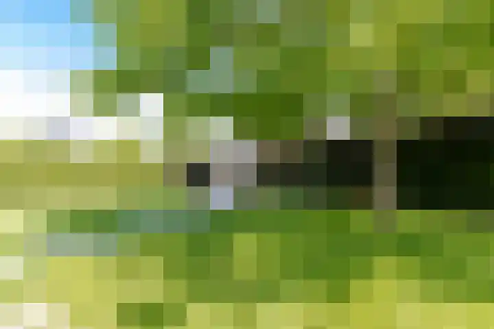 Polderzicht 17 Wijk en Aalburg thumbnail 58