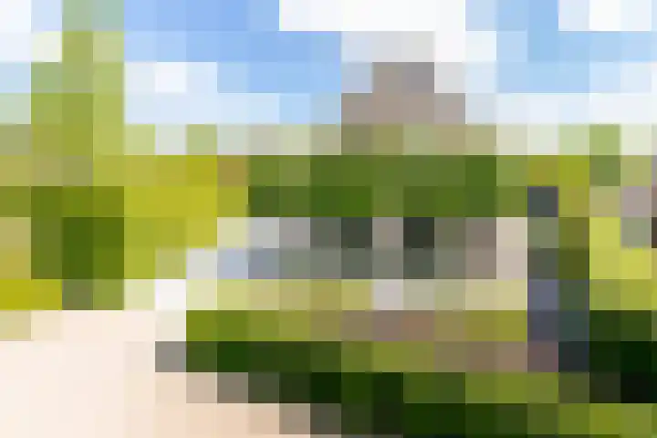 Polderzicht 17 Wijk en Aalburg thumbnail 64