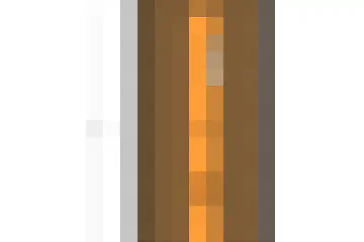 Polderzicht 17 Wijk en Aalburg thumbnail 69
