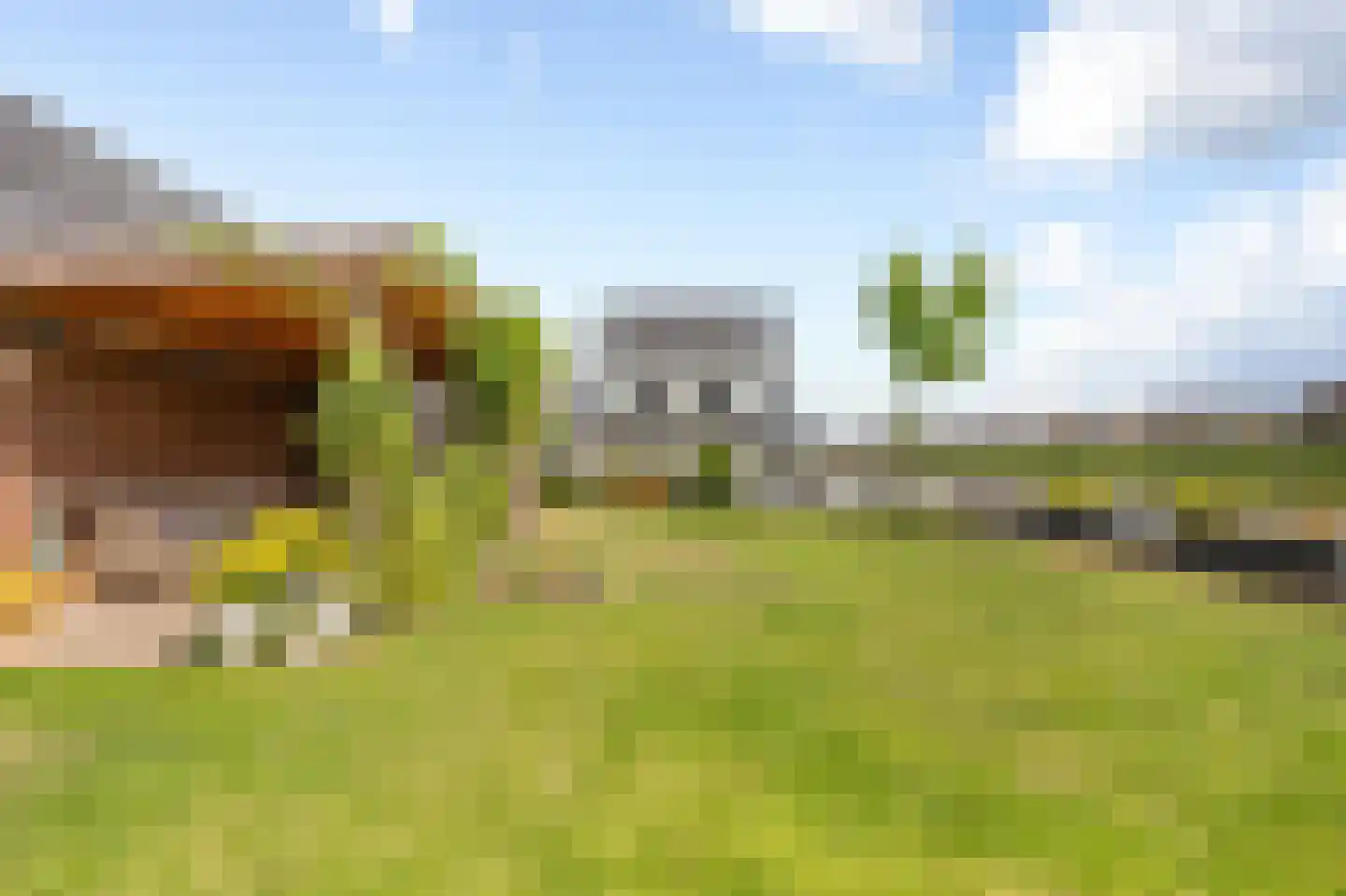 Polderzicht 2 Assendelft thumbnail 12