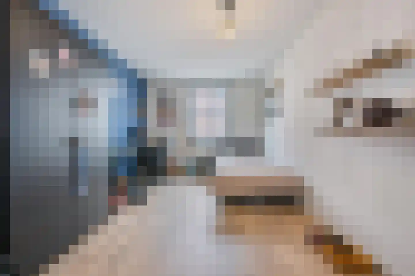Polderzicht 2 Assendelft thumbnail 24