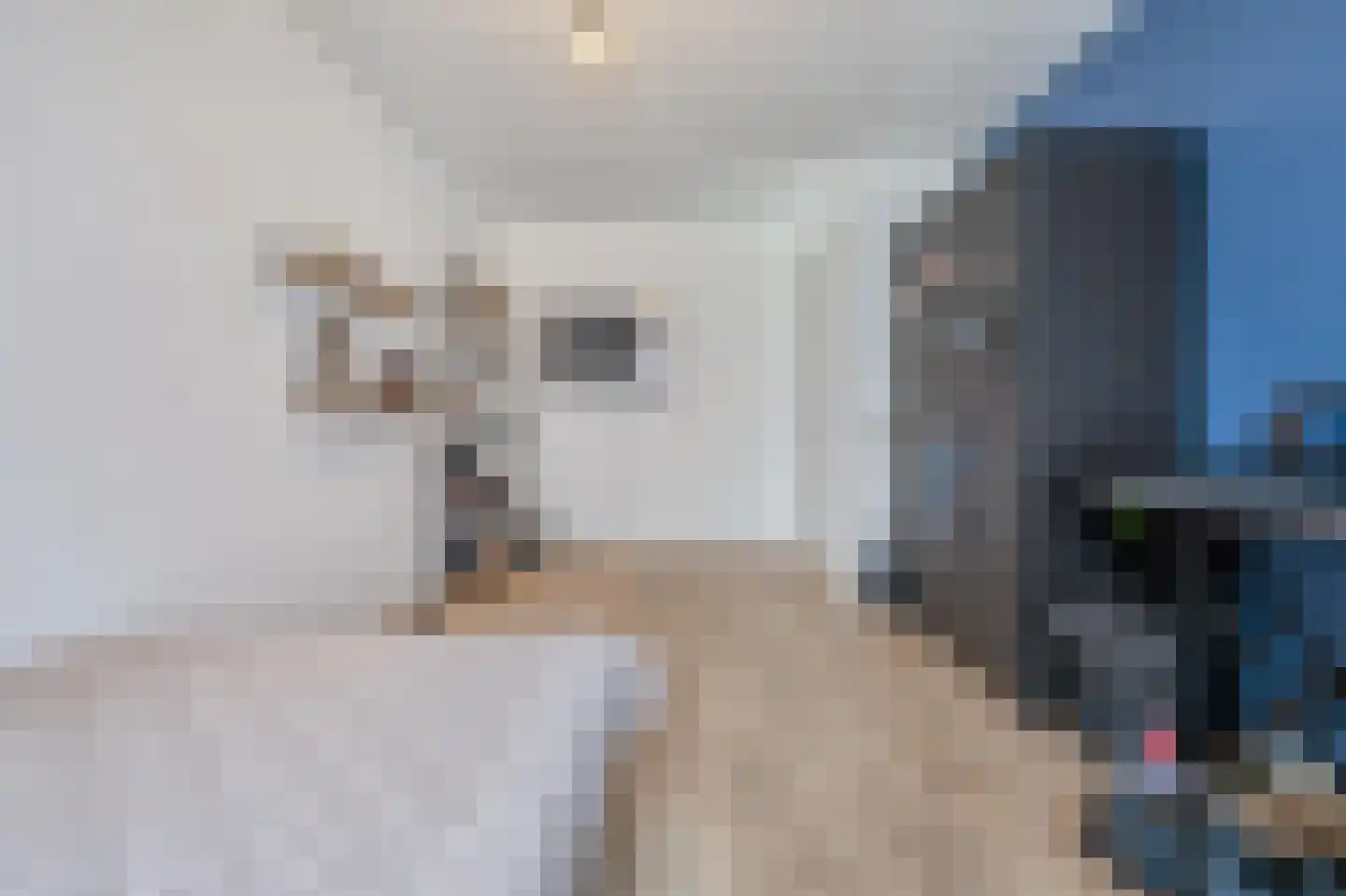 Polderzicht 2 Assendelft thumbnail 25