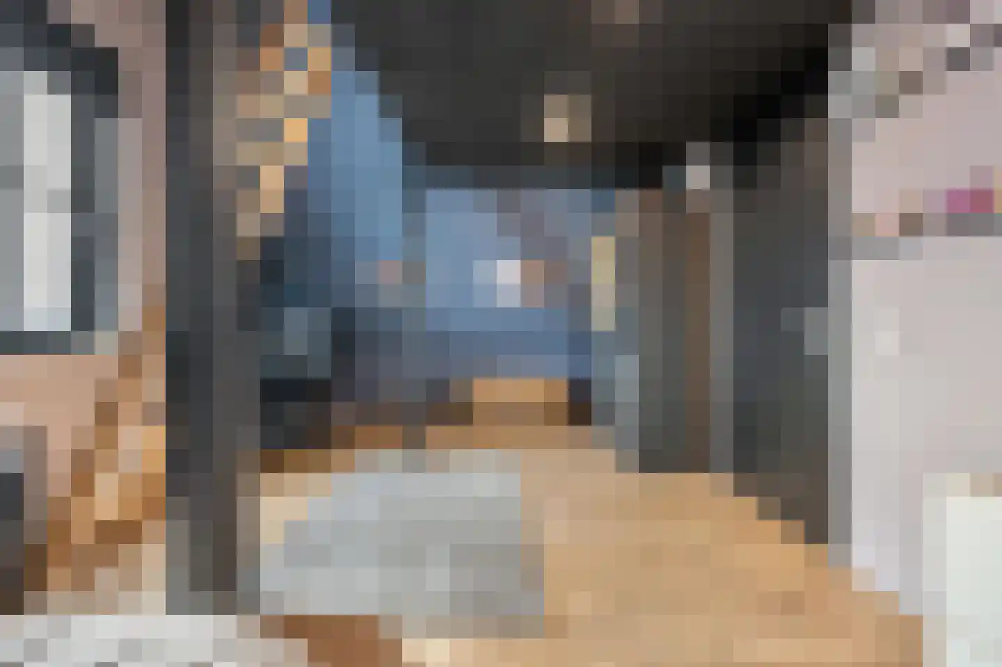 Polderzicht 2 Assendelft thumbnail 40