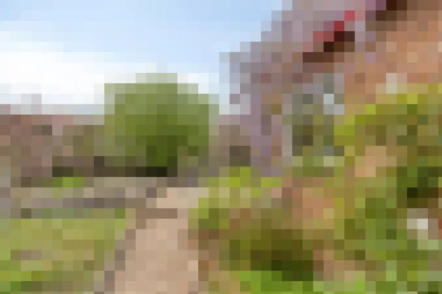 Polenlaan 11 Heikant thumbnail 28