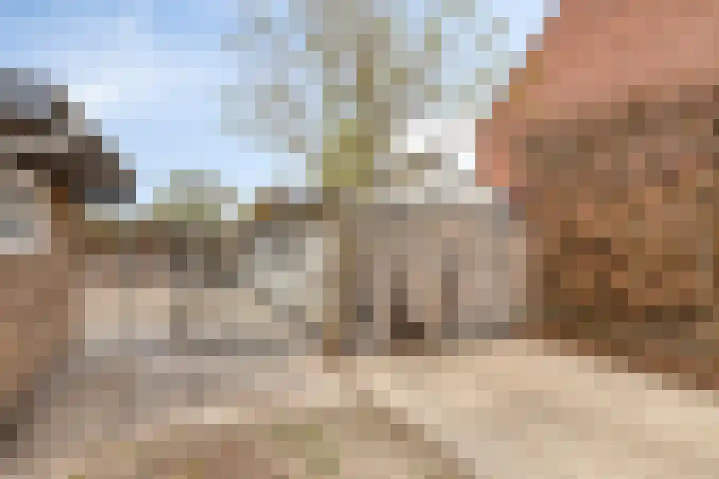 Polenlaan 11 Heikant thumbnail 30