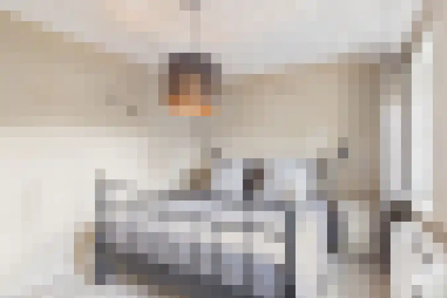 Polenlaan 18 Heikant thumbnail 16