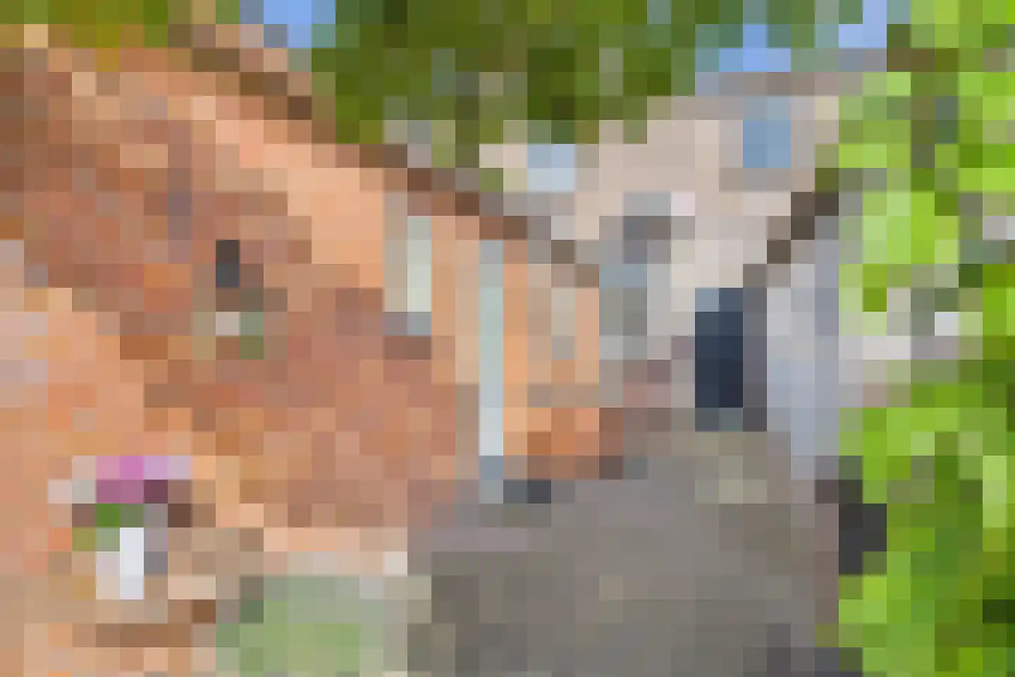 Polenlaan 18 Heikant thumbnail 22