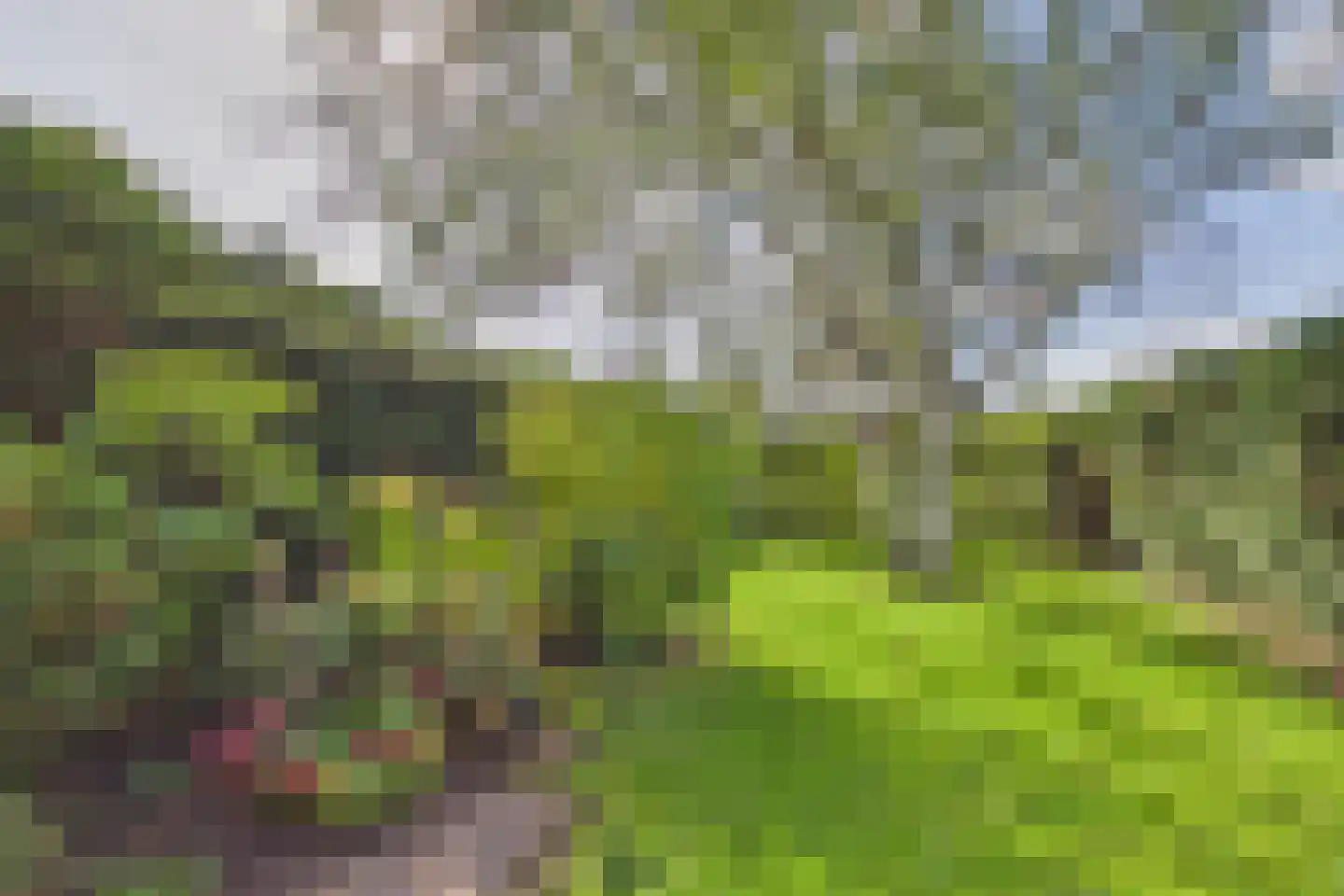 Polenlaan 18 Heikant thumbnail 24