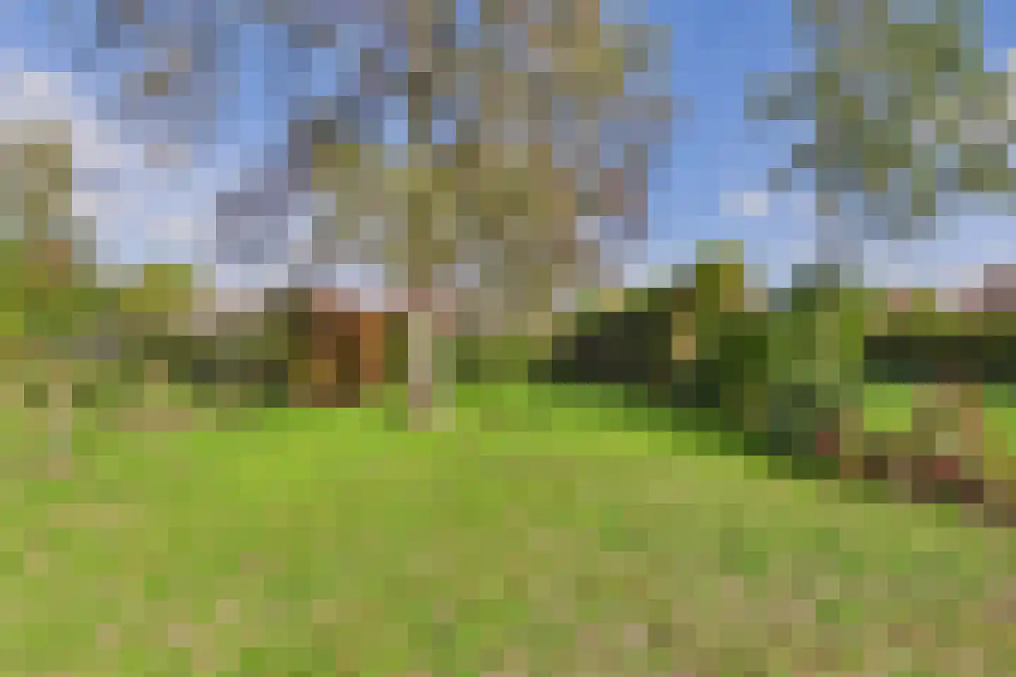 Polenlaan 18 Heikant thumbnail 25