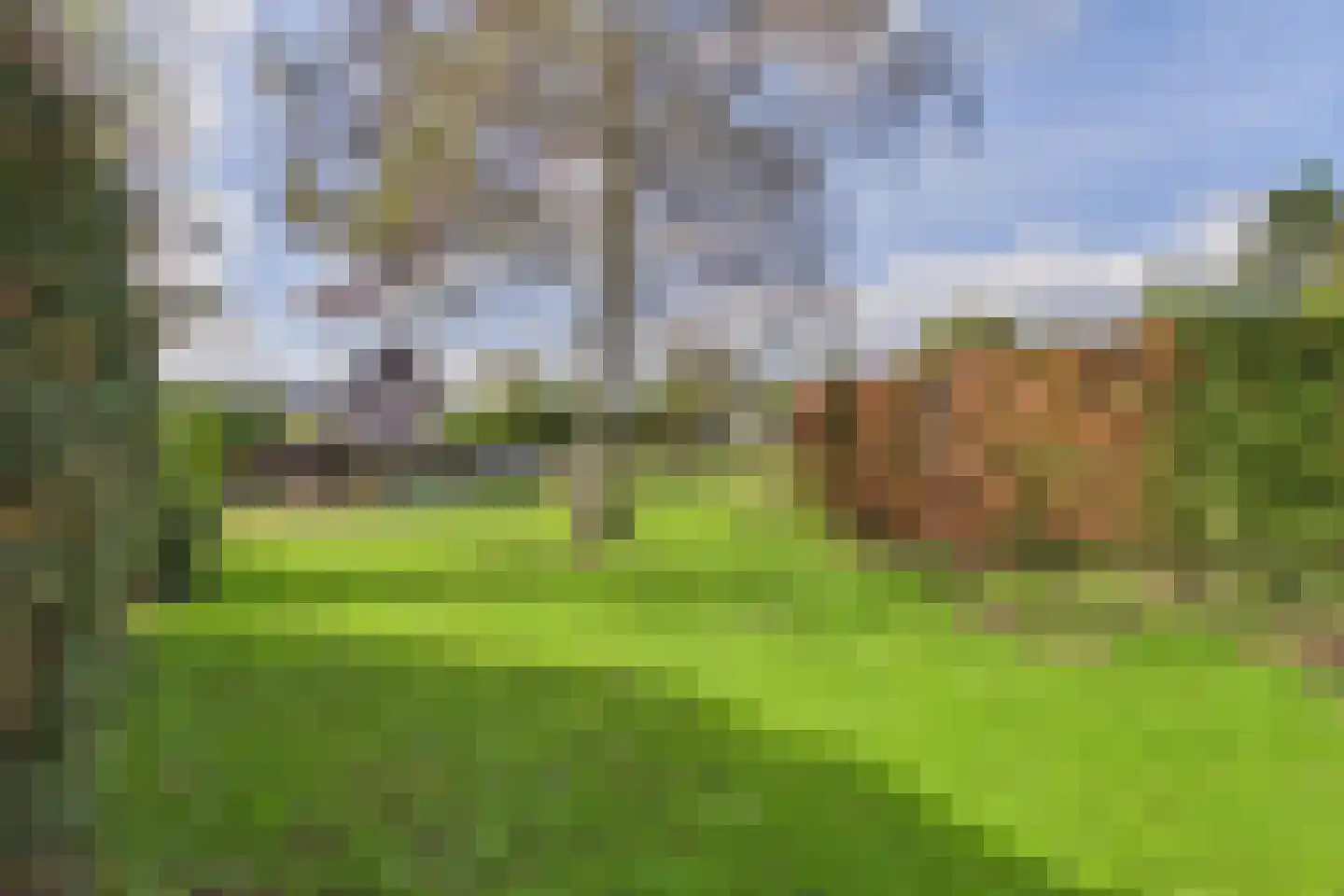 Polenlaan 18 Heikant thumbnail 5