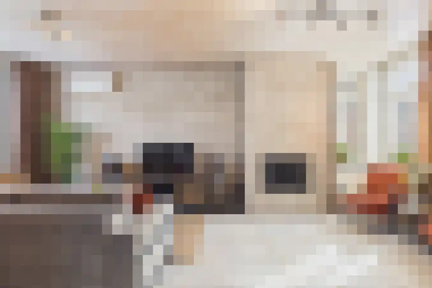 Polenlaan 18 Heikant thumbnail 9