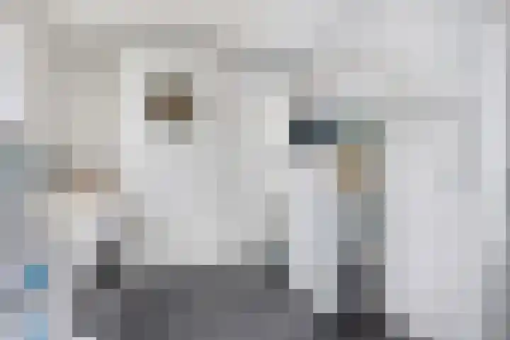 Polenlaan 23 Heikant thumbnail 13