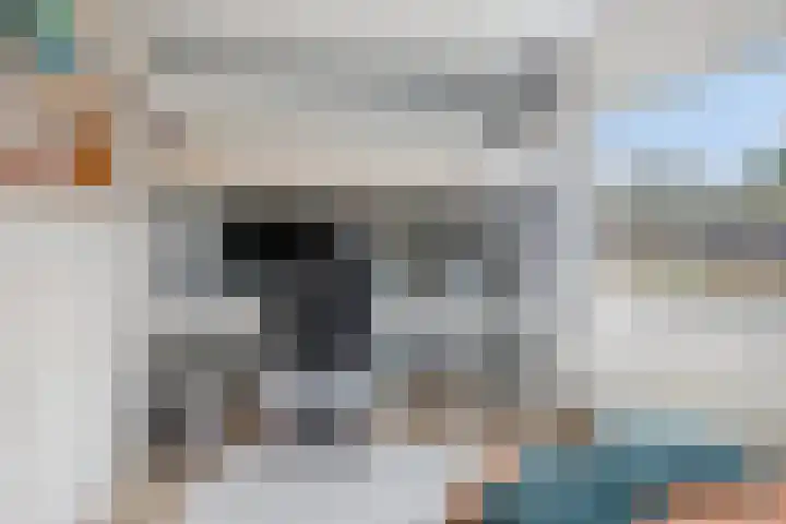 Polenlaan 23 Heikant thumbnail 17