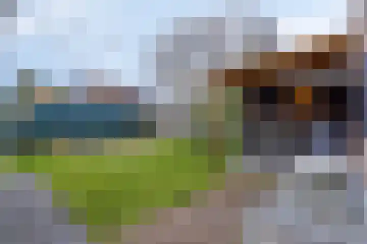 Polenlaan 23 Heikant thumbnail 26