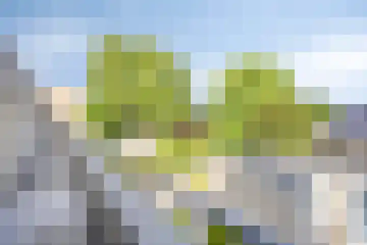 Polenplein 10 Driel thumbnail 12
