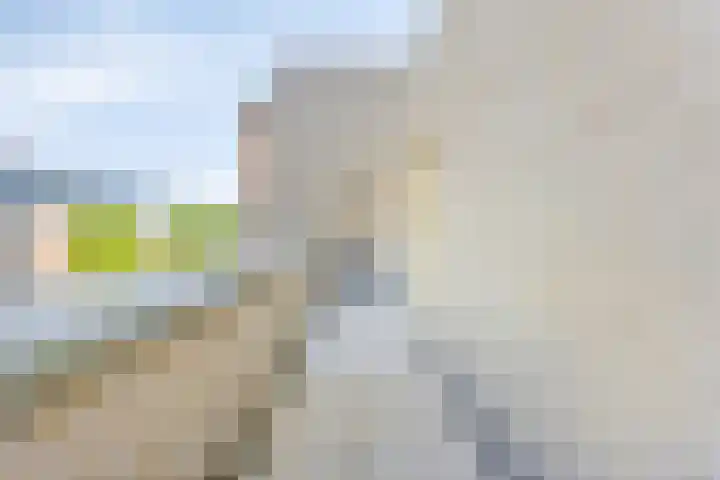 Polenplein 10 Driel thumbnail 13