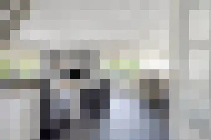 Polenplein 10 Driel thumbnail 19