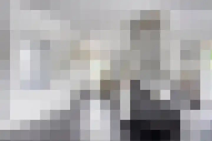 Polenplein 10 Driel thumbnail 25