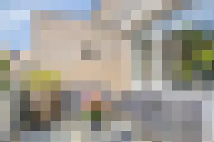 Polenplein 10 Driel thumbnail 28