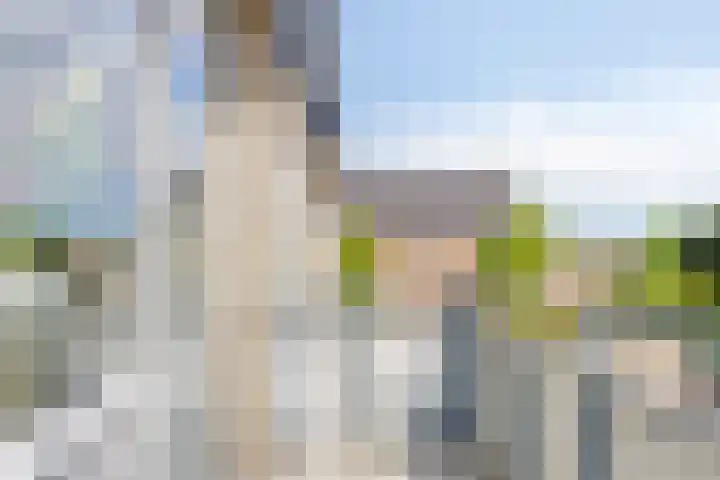 Polenplein 10 Driel thumbnail 29