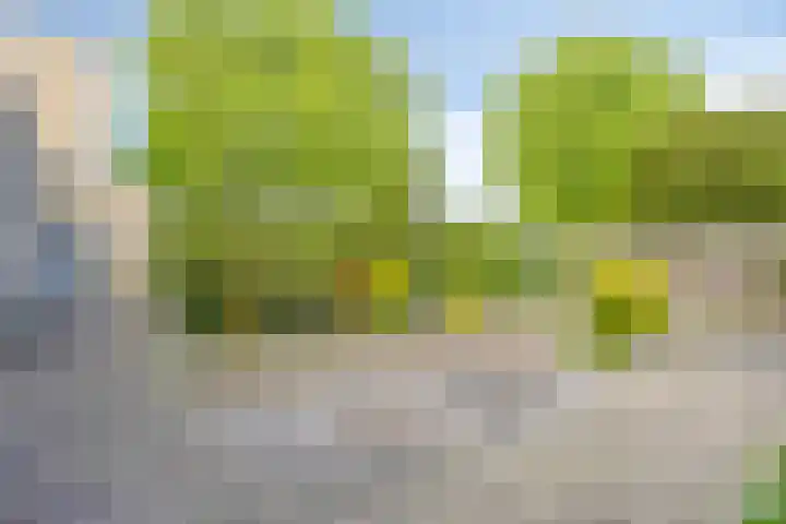 Polenplein 10 Driel thumbnail 45