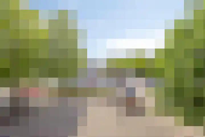 Polenplein 10 Driel thumbnail 48