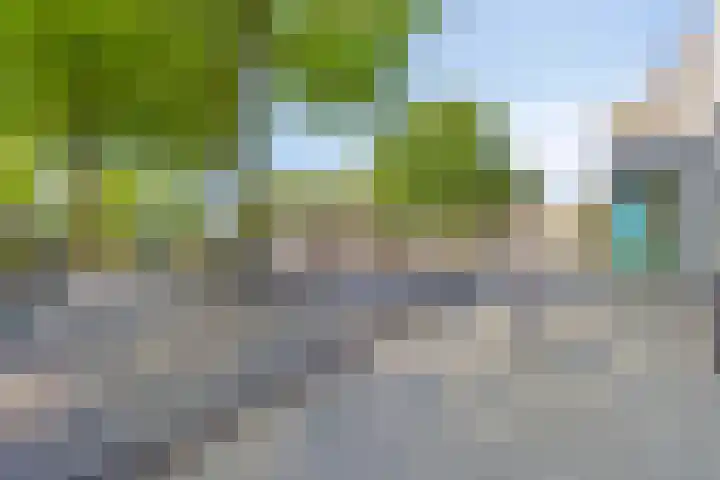 Polenplein 10 Driel thumbnail 49