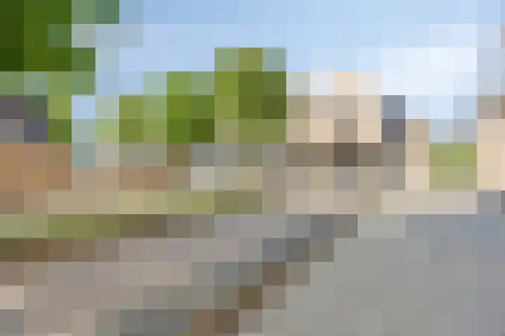 Polenplein 10 Driel thumbnail 50