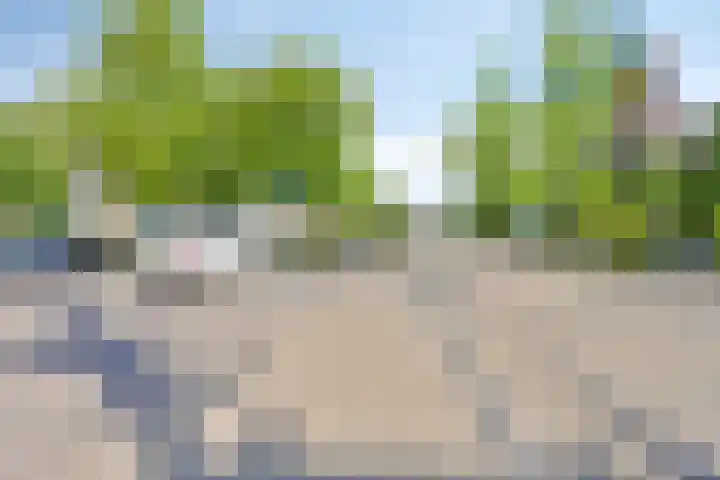 Polenplein 10 Driel thumbnail 51