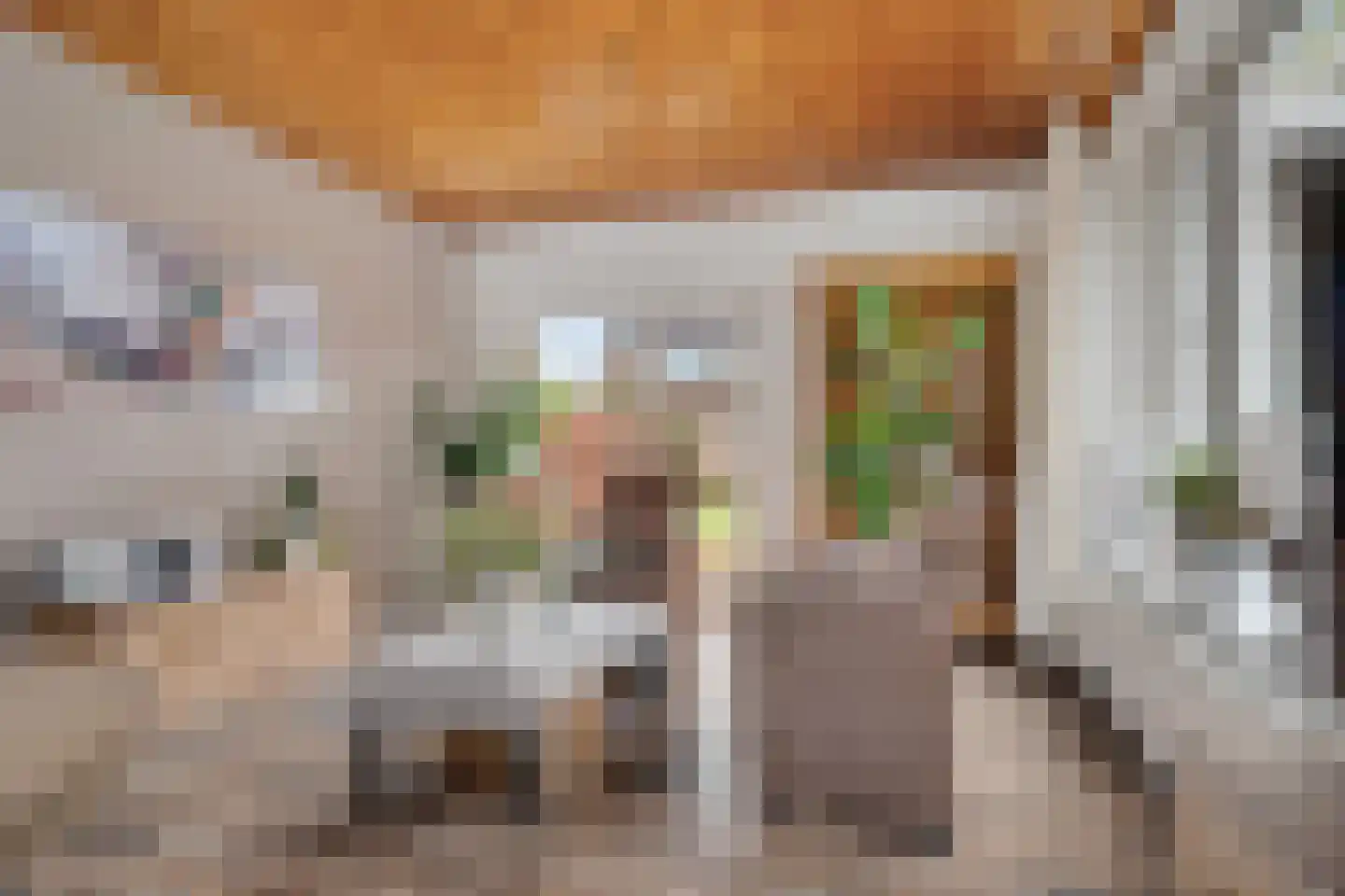 Polenstraat 10 Emmen thumbnail 10
