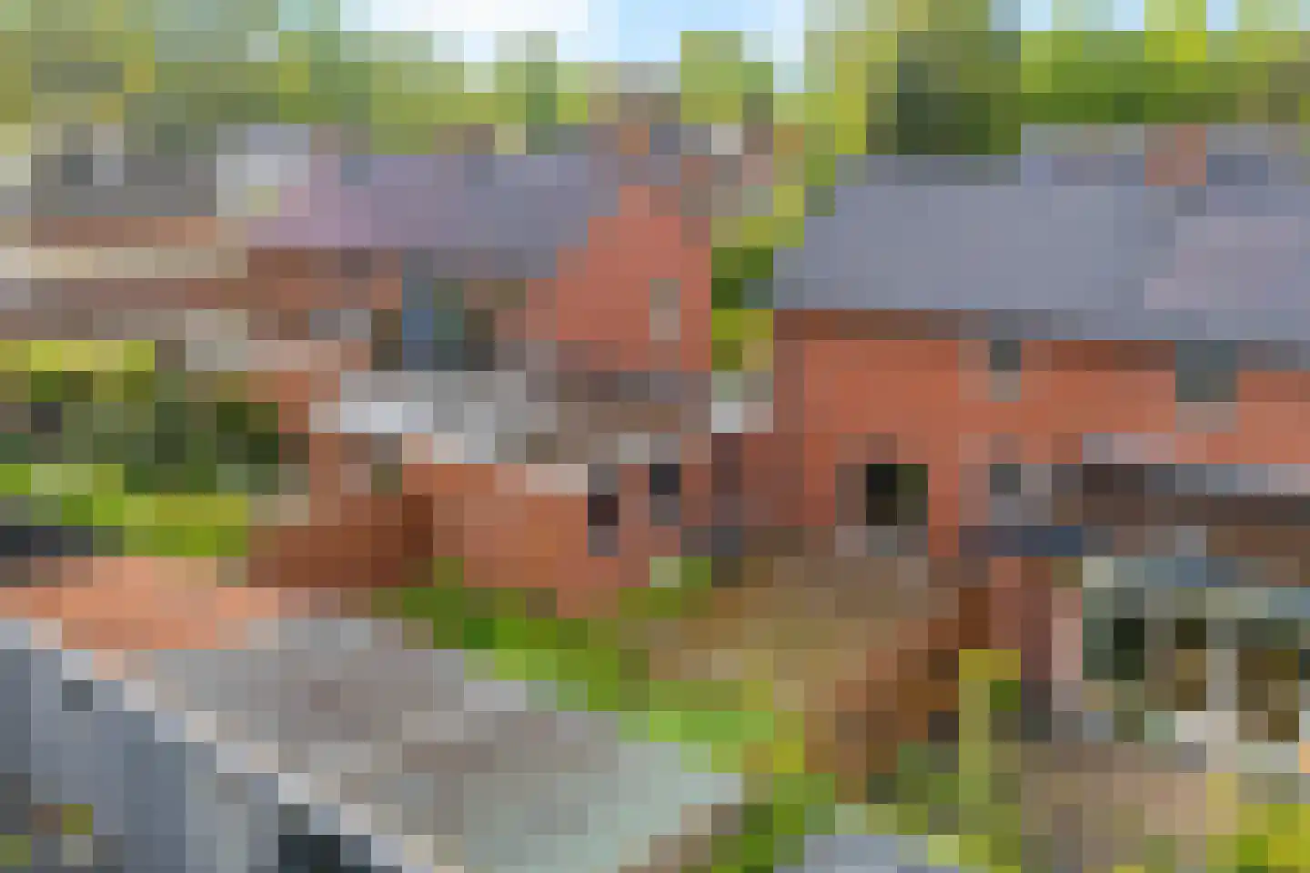 Polenstraat 10 Emmen thumbnail 33