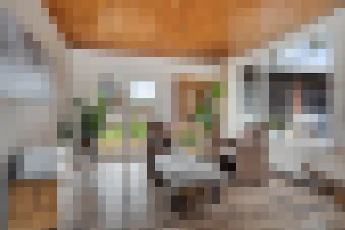 Polenstraat 10 Emmen thumbnail 9
