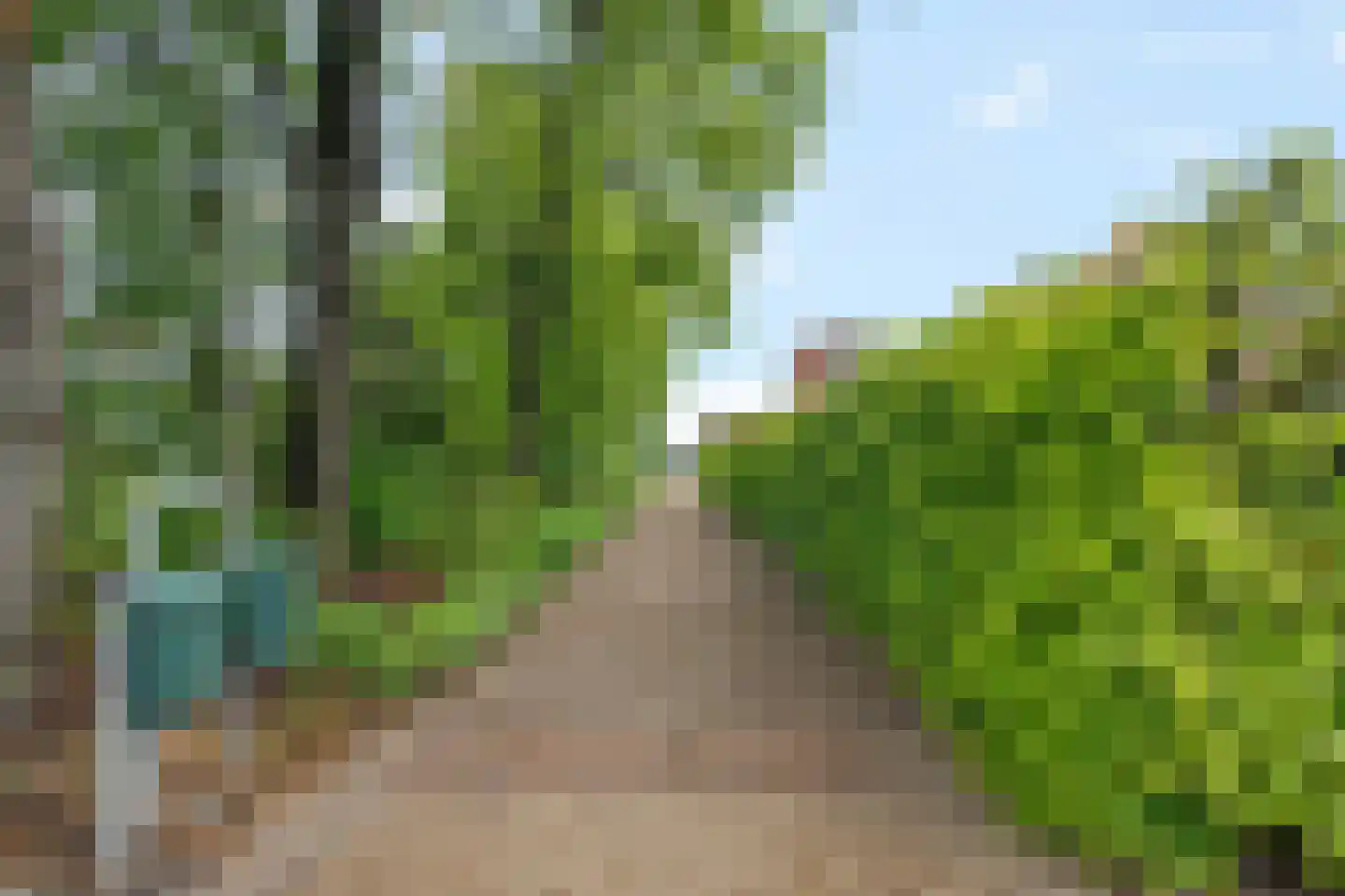 Polenweg 12 B Bant thumbnail 43
