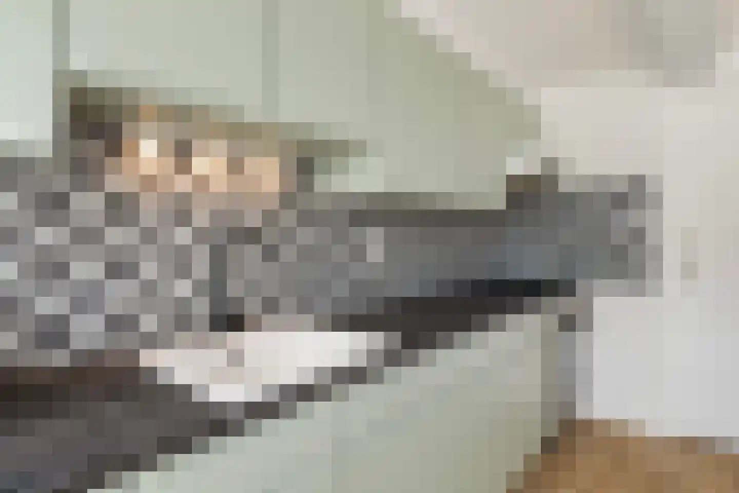 Pôlewei 10 Holwert thumbnail 13