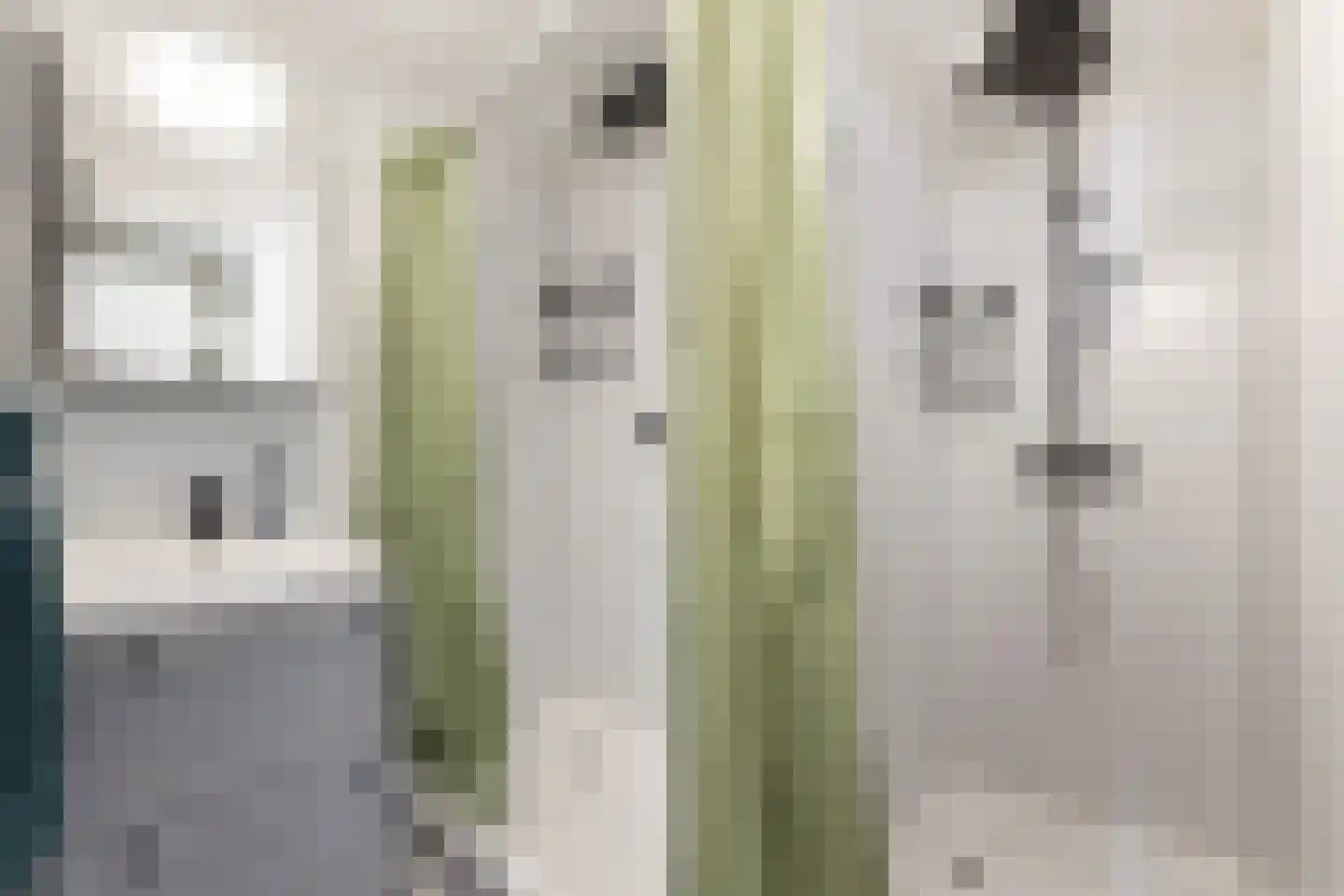 Pôlewei 10 Holwert thumbnail 35
