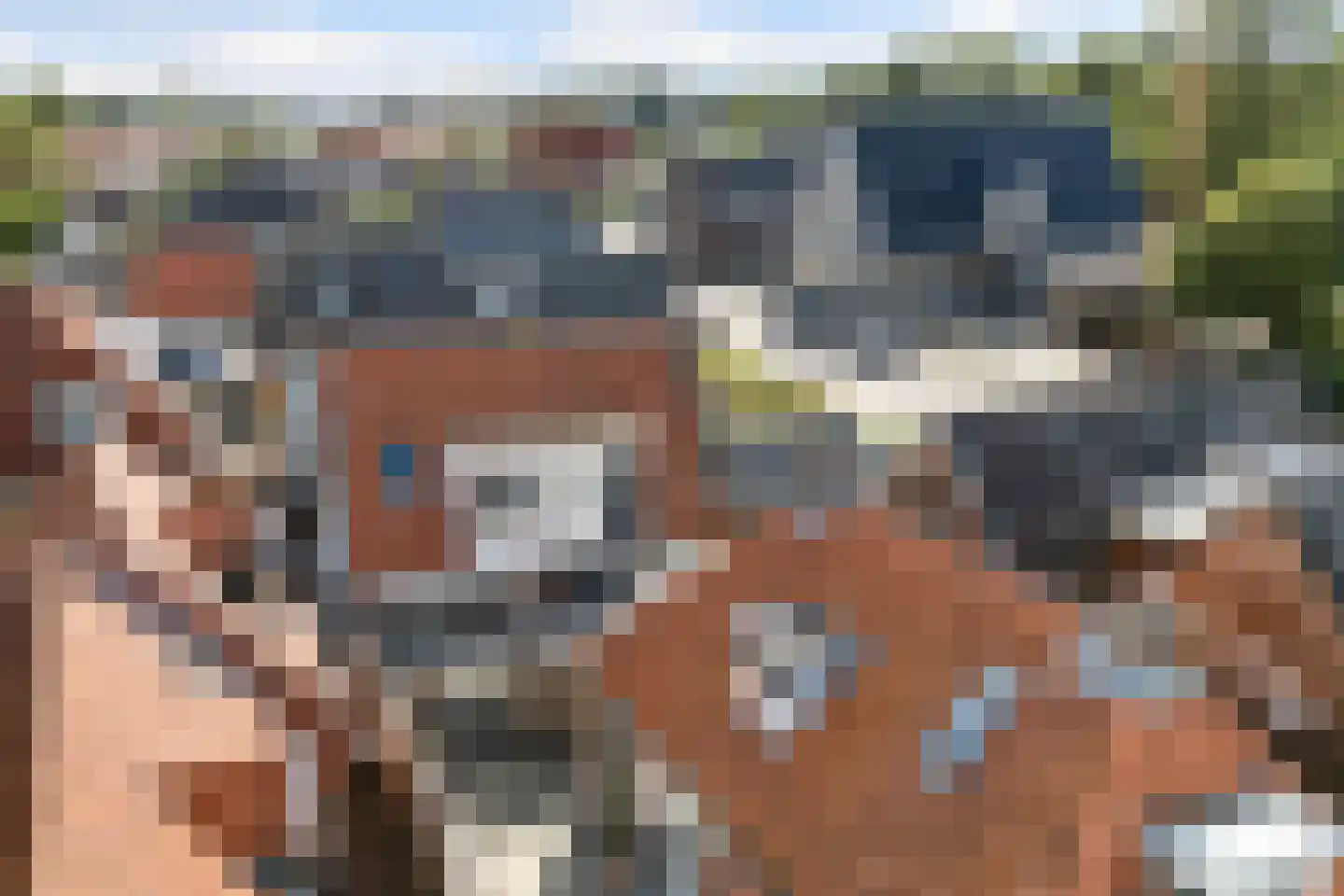 Pôlewei 10 Holwert thumbnail 37