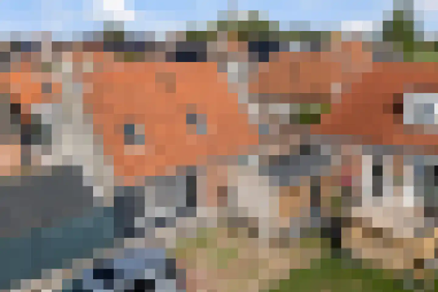 Pôlewei 10 Holwert thumbnail 6