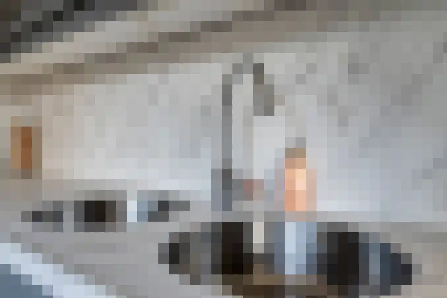 Polhaarweg 25 Dalfsen thumbnail 15