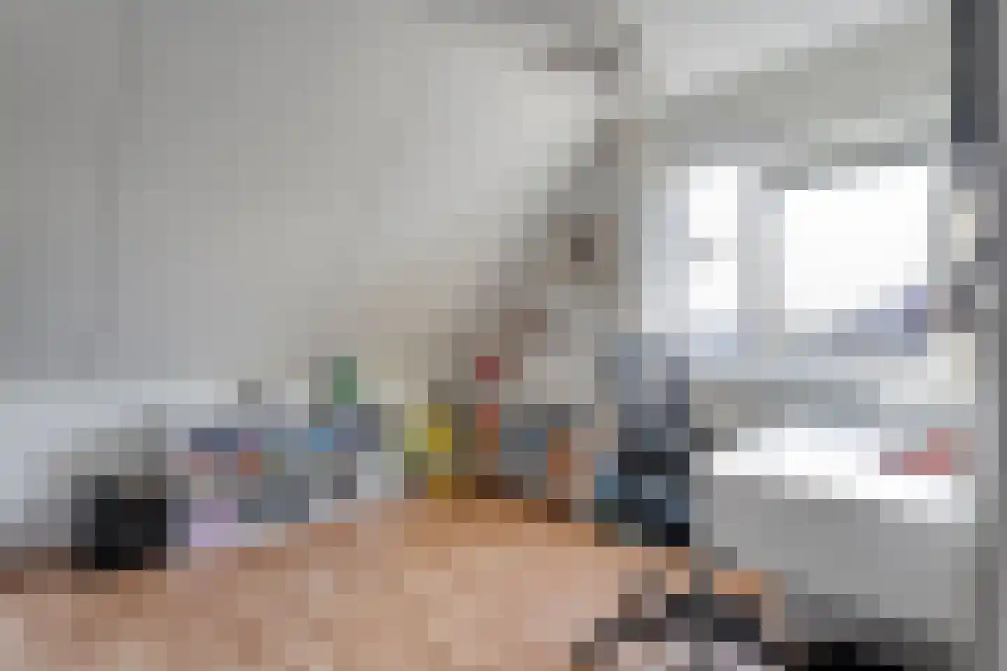 Polhaarweg 25 Dalfsen thumbnail 28
