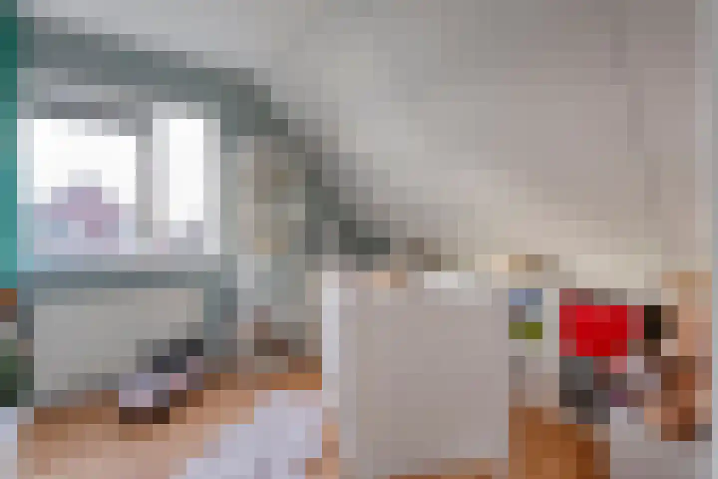 Polhaarweg 25 Dalfsen thumbnail 34