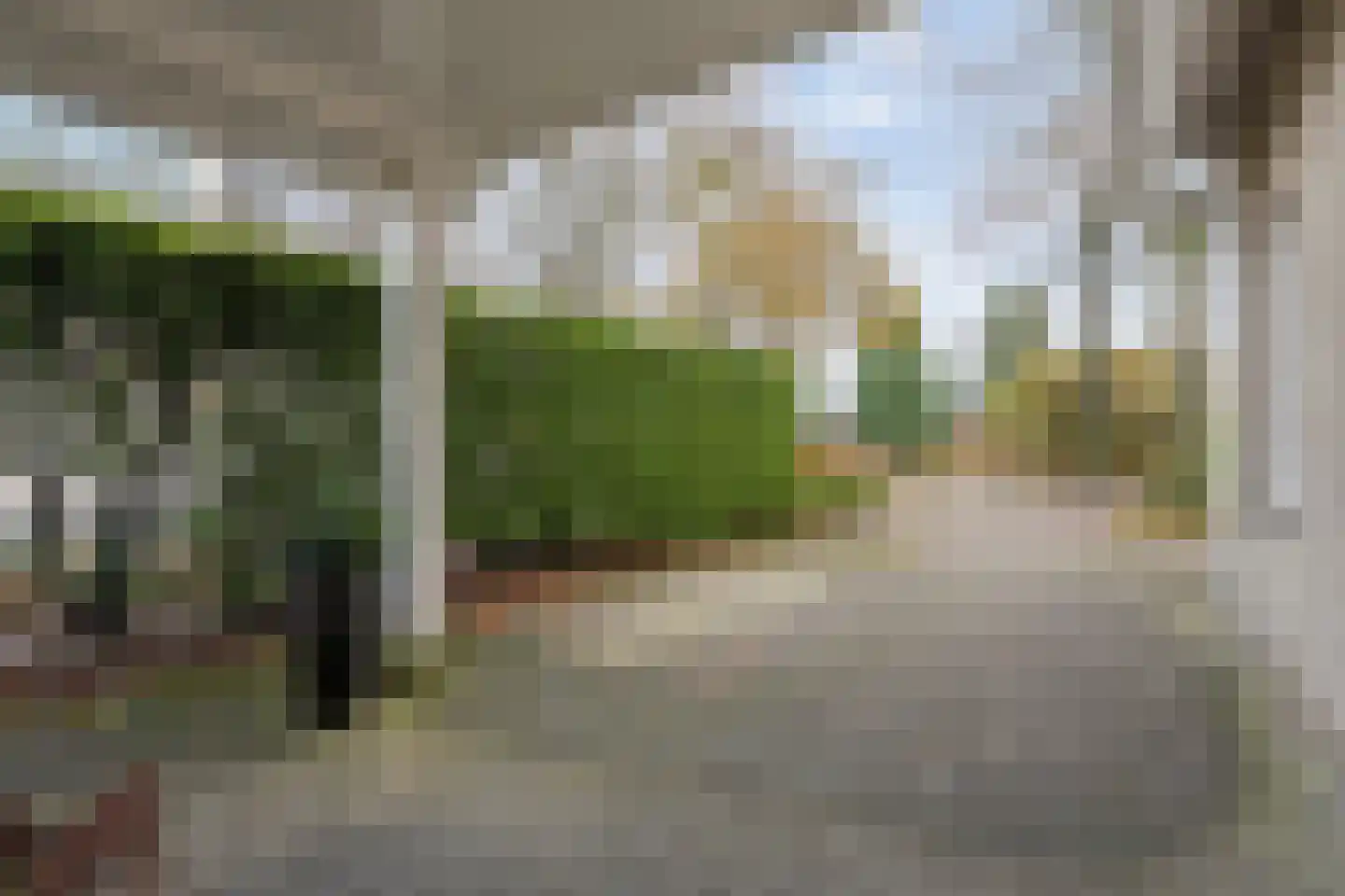 Polhaarweg 25 Dalfsen thumbnail 36